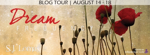 Dream Frequency tour banner